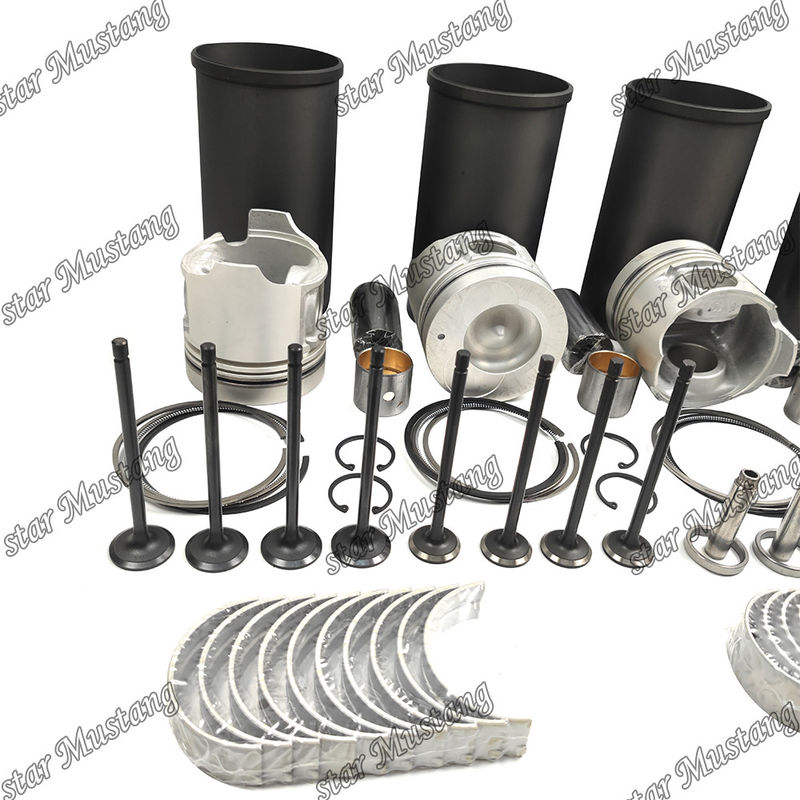 W04DT کیت تعمیر مجدد سیلندر لاینر پیستون با پین کیت دریچه صندلی دریچه راهنما کیت گاسکت برای موتور هاینو
