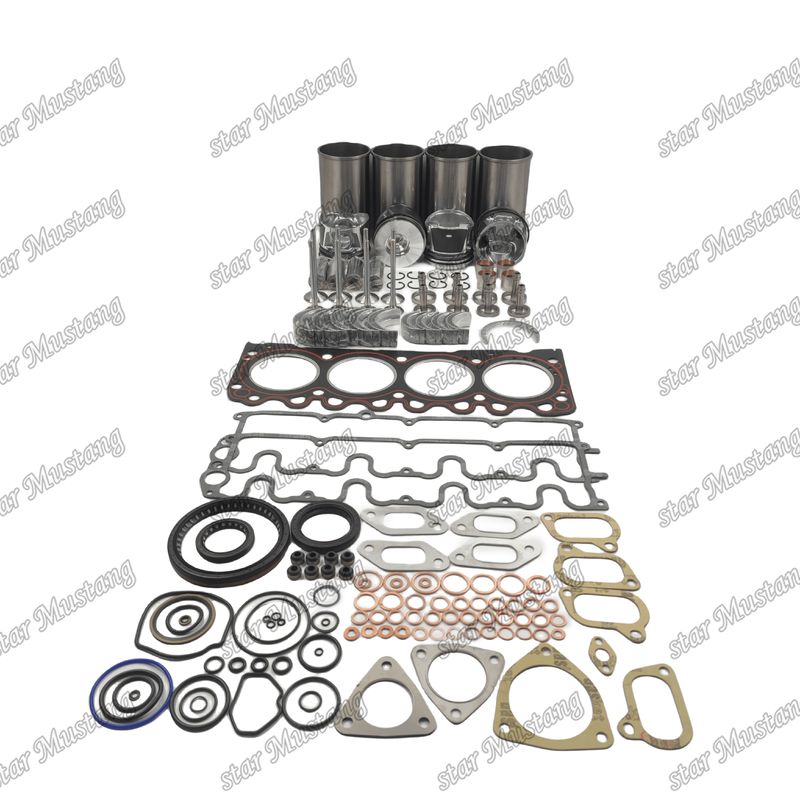 BF4M1011F کیت تعمیرات عمده سیلندر لاینر پیستون کیت گاسکت کیت دریچه صندلی راهنمای اصلی و کن استند برای دوتز