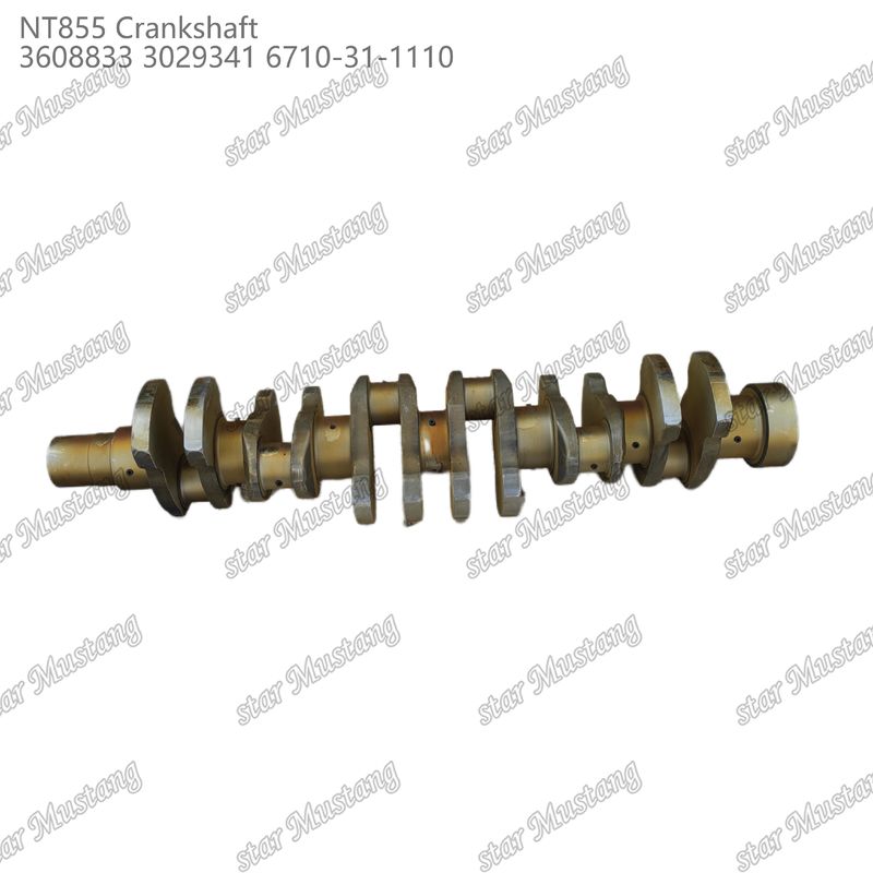 شفت کرک NT855 فولاد جعل شده 3608833 3029341 6710-31-1110 برای قطعات موتور دیزل کامینز