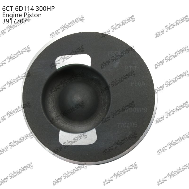 پیستون 6CT 6D114 300HP 3917707 55mm اتاق احتراق برای قطعات تعمیر موتور دیزل کامینز