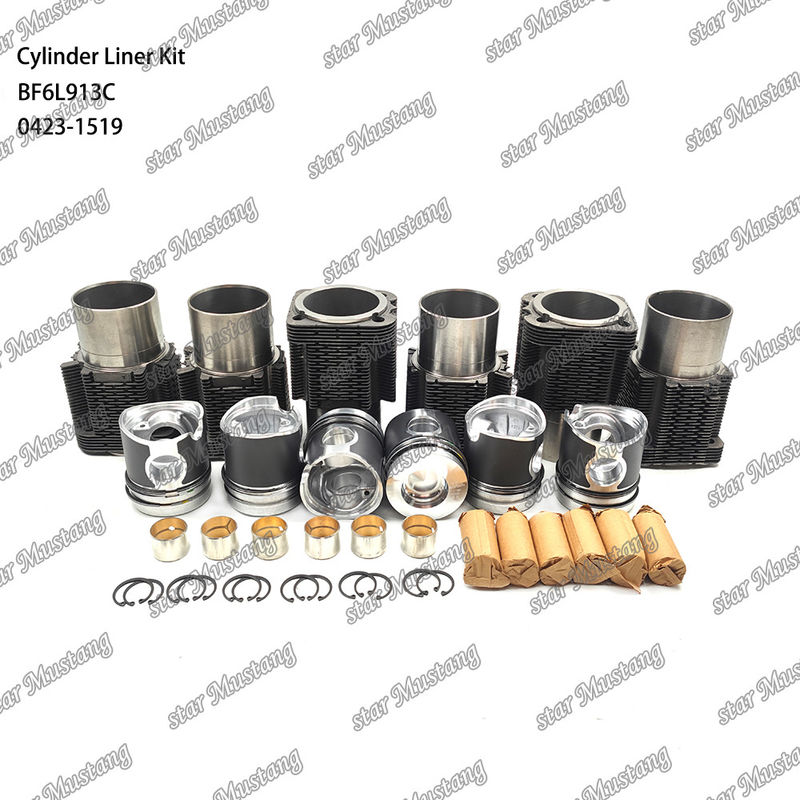 کیت جدید موتور دیزل برای BF6L913C 0423-1519