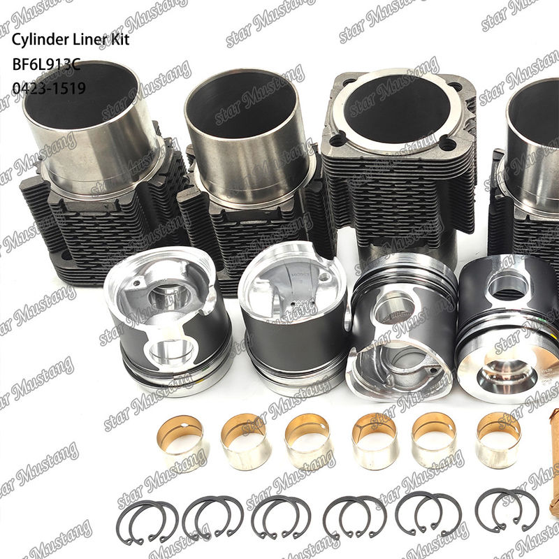 کیت جدید موتور دیزل برای BF6L913C 0423-1519