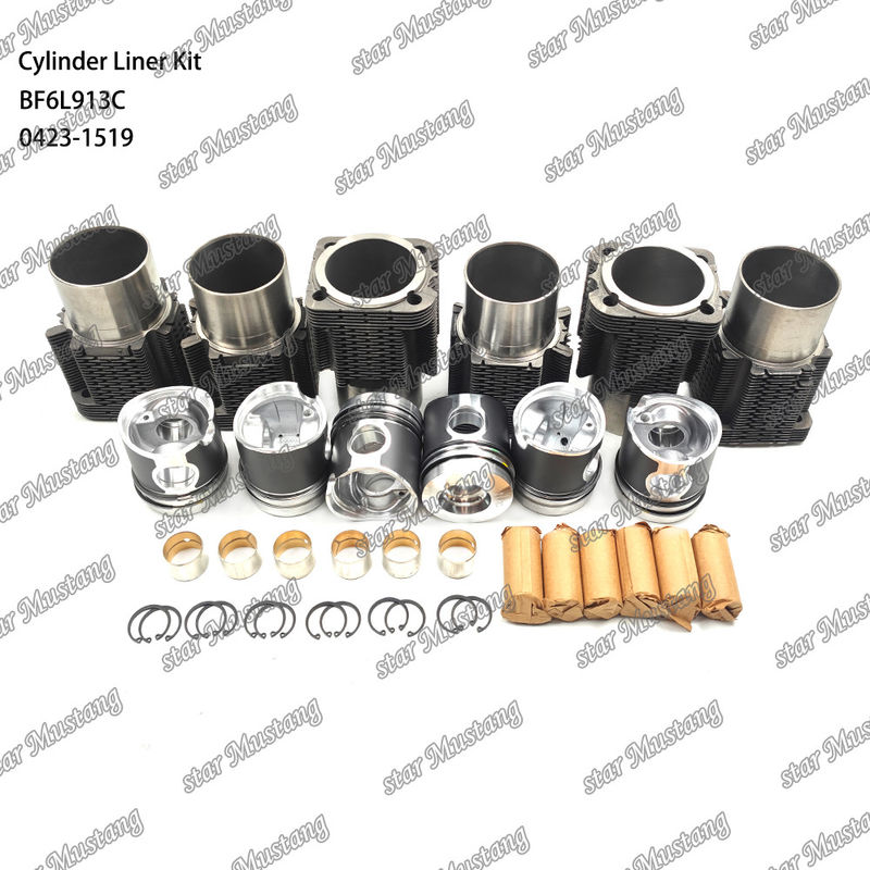 کیت جدید موتور دیزل برای BF6L913C 0423-1519