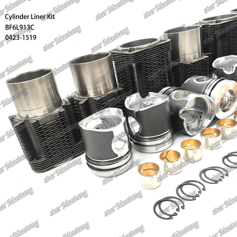 کیت جدید موتور دیزل برای BF6L913C 0423-1519