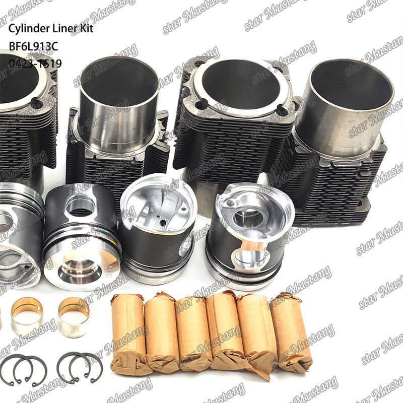 کیت جدید موتور دیزل برای BF6L913C 0423-1519