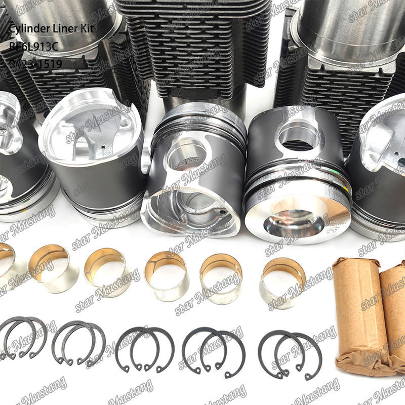 کیت جدید موتور دیزل برای BF6L913C 0423-1519