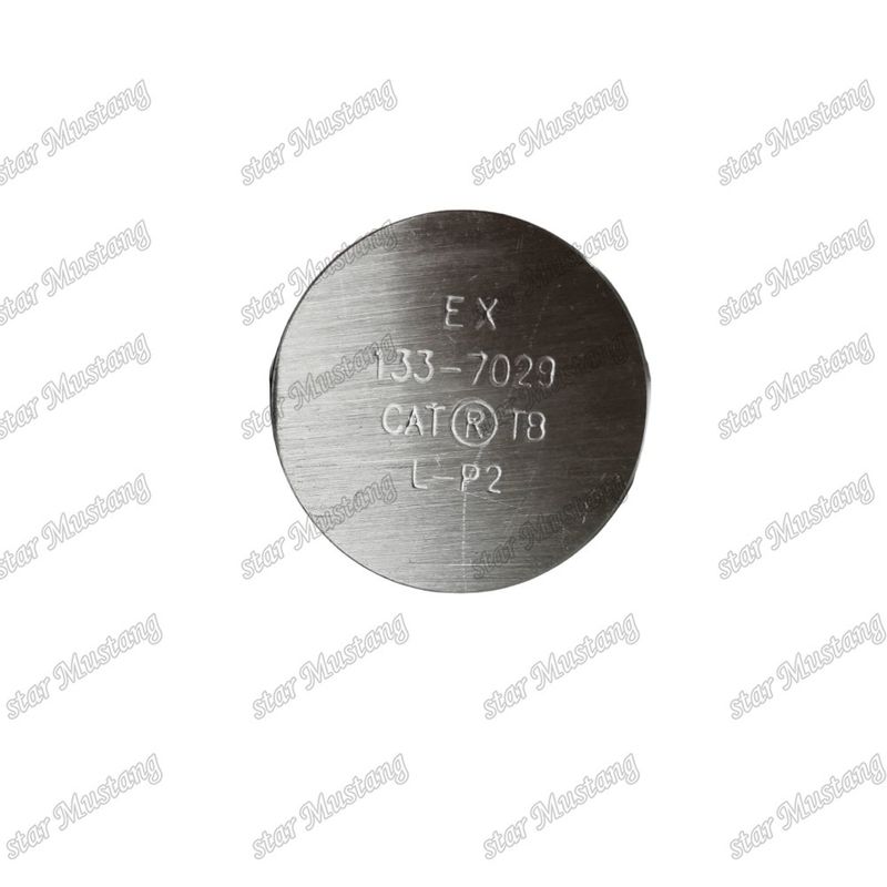 3176C C10 IN 7E9578 EX 133-7029 دریچه قطعات یدکی موتور Caterpillar