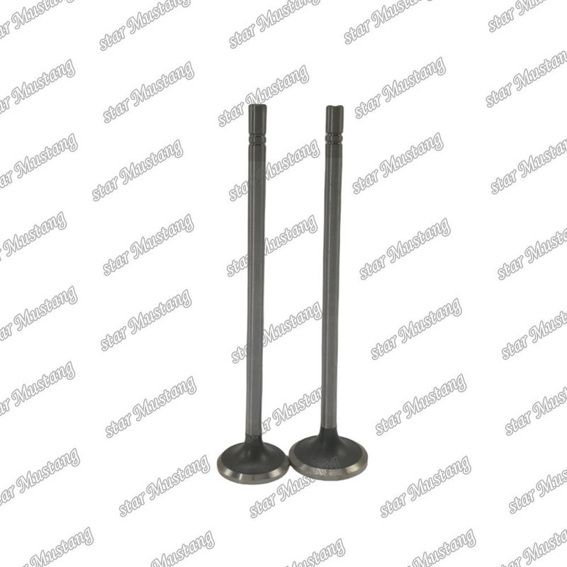دریچه C15 در 153-7023 ex 153-7024 مناسب برای قطعات معدنی موتور Caterpillar