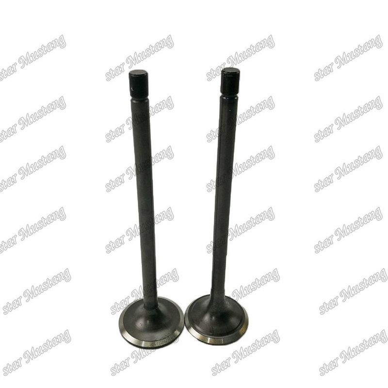 دریچه 6D125 6D125-N 6150-42-4110 6150-42-4210 مناسب برای قطعات معدنی موتور کوماتسو