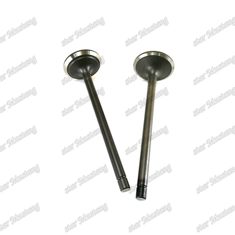 شیر قطعات جایگزین موتور دیزل برای Komatsu 6D140 EFI IN 6217-41-4110 EX 6215-41-4212