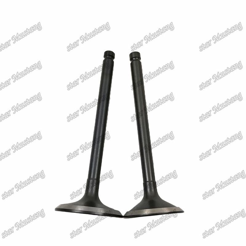 شیر 3KR1 8941190881 8-94119088-1 5125520462 5-12552046-2 برای قطعات معدنی موتور ایسوزو