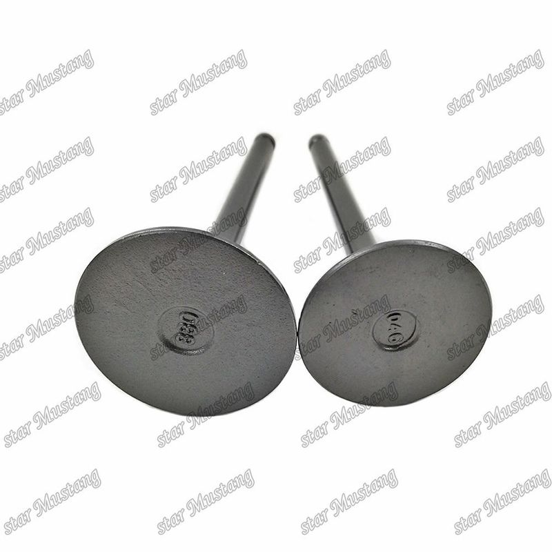 شیر 3KR1 8941190881 8-94119088-1 5125520462 5-12552046-2 برای قطعات معدنی موتور ایسوزو