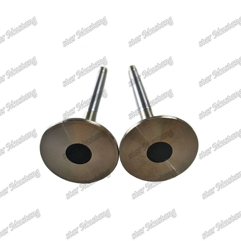دریچه 4HL1 IN 8-94395-113-1 EX 8-94395-462-0 مناسب برای قطعات یدکی موتور ایسوزو