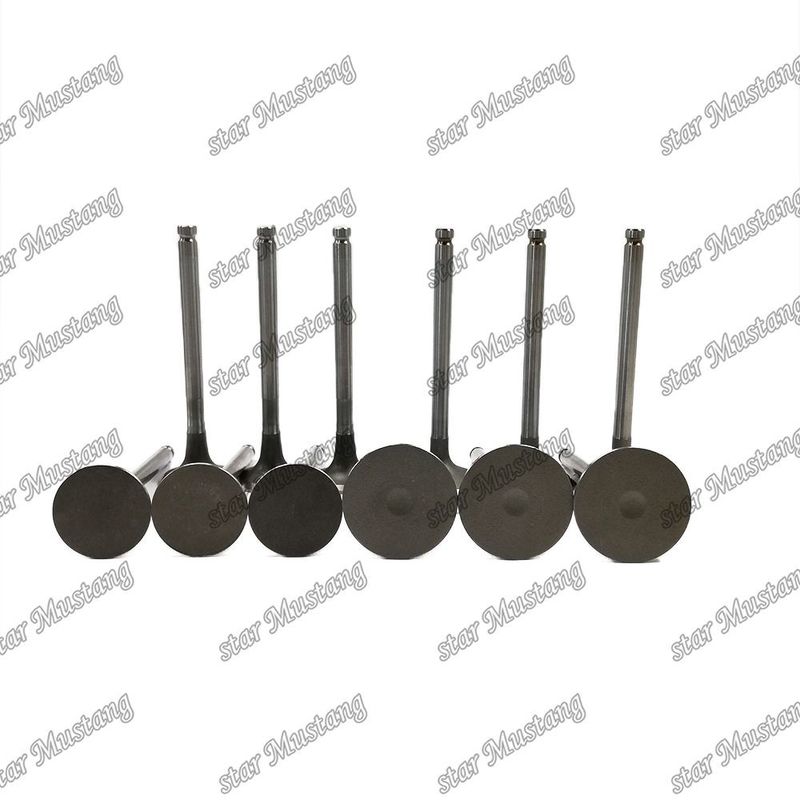 دریچه موتور 6BD1 DB58 IN 65.01735-2558 EX 65.01734-267 مناسب برای قطعات یدکی موتور ایسوزو