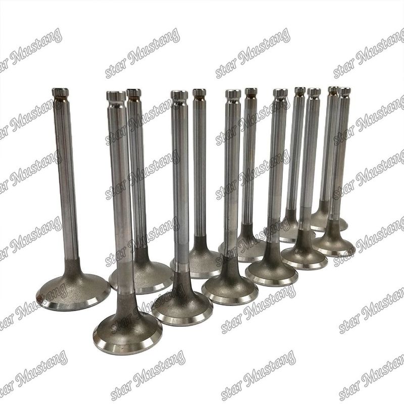 دریچه موتور 6BD1 DB58 IN 65.01735-2558 EX 65.01734-267 مناسب برای قطعات یدکی موتور ایسوزو