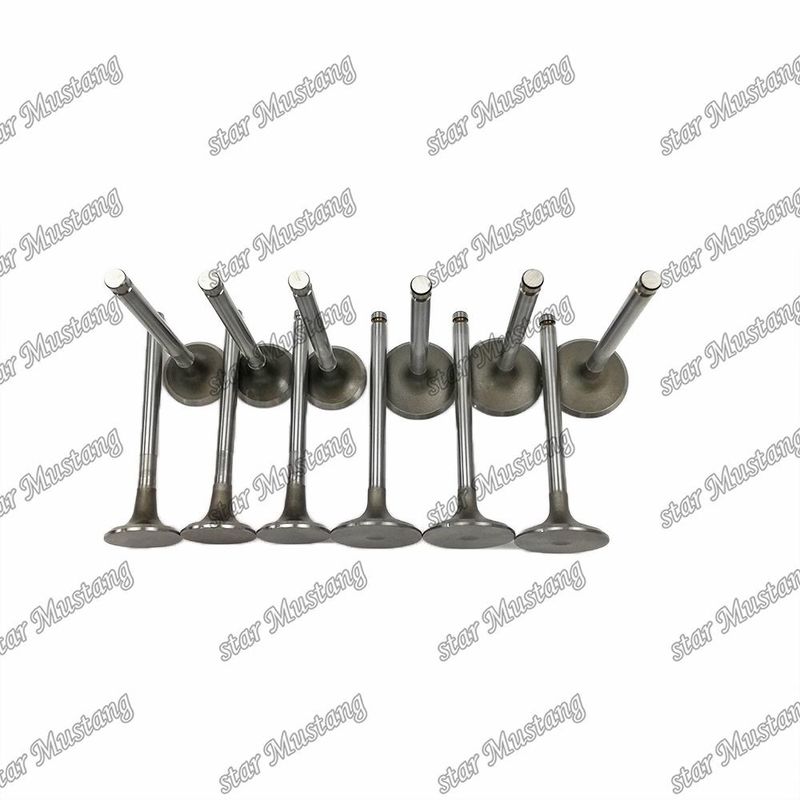 دریچه موتور 6BD1 DB58 IN 65.01735-2558 EX 65.01734-267 مناسب برای قطعات یدکی موتور ایسوزو