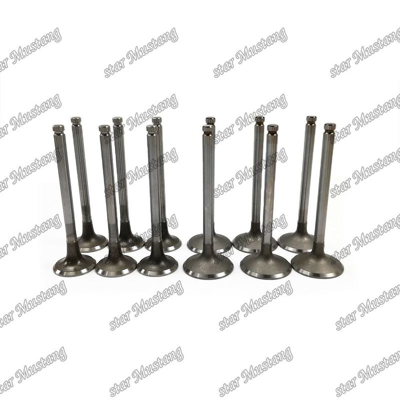 دریچه موتور 6BD1 DB58 IN 65.01735-2558 EX 65.01734-267 مناسب برای قطعات یدکی موتور ایسوزو