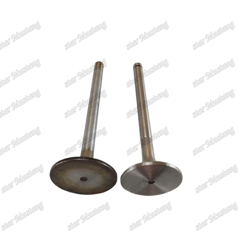 دریچه EK100 EK130 EF750 13715-1060 13711-1450 مناسب برای قطعات یدکی موتور های Hino