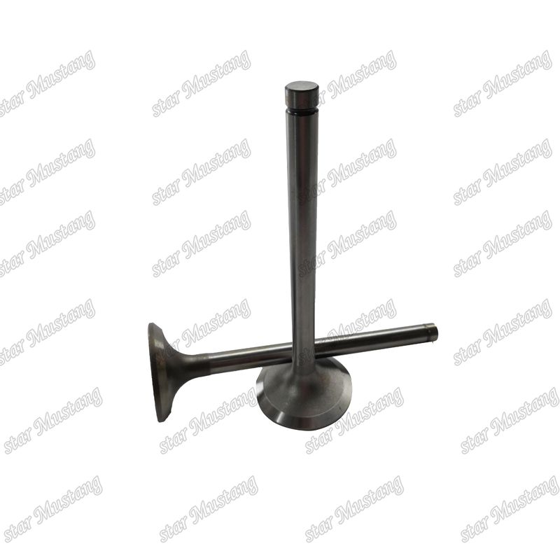 دریچه EK100 EK130 EF750 13715-1060 13711-1450 مناسب برای قطعات یدکی موتور های Hino