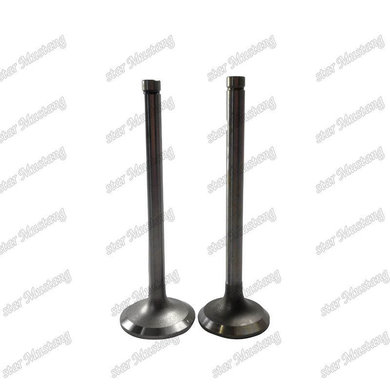 دریچه EK100 EK130 EF750 13715-1060 13711-1450 مناسب برای قطعات یدکی موتور های Hino