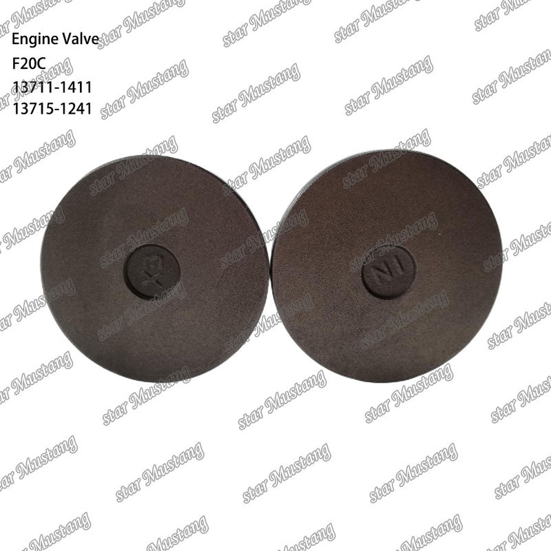 دریچه موتور F20C 13711-1411 13715-1241 مناسب برای قطعات یدکی موتور های Hino