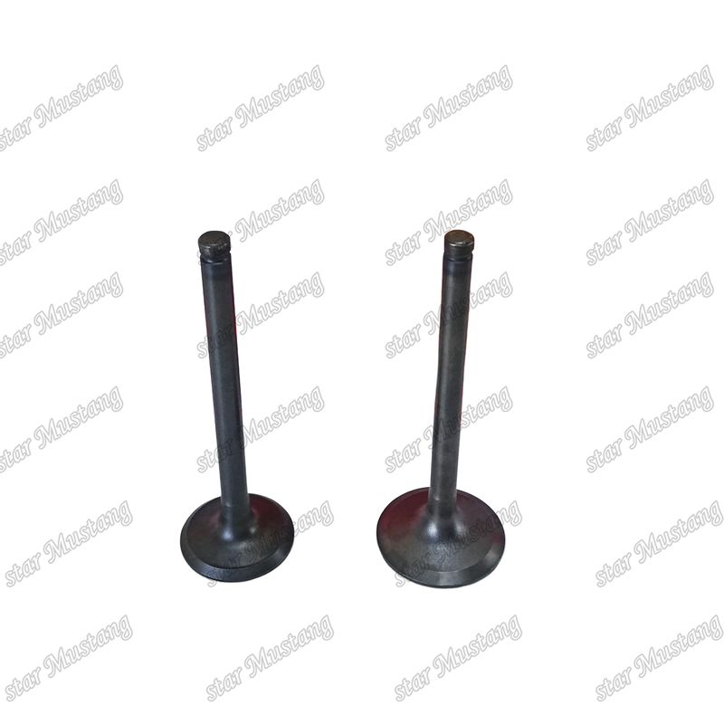 قطعات یدکی موتور های Hino W04D IN 13711-1430 EX 13715-1260 دریچه برای وسایل نقلیه دیزل