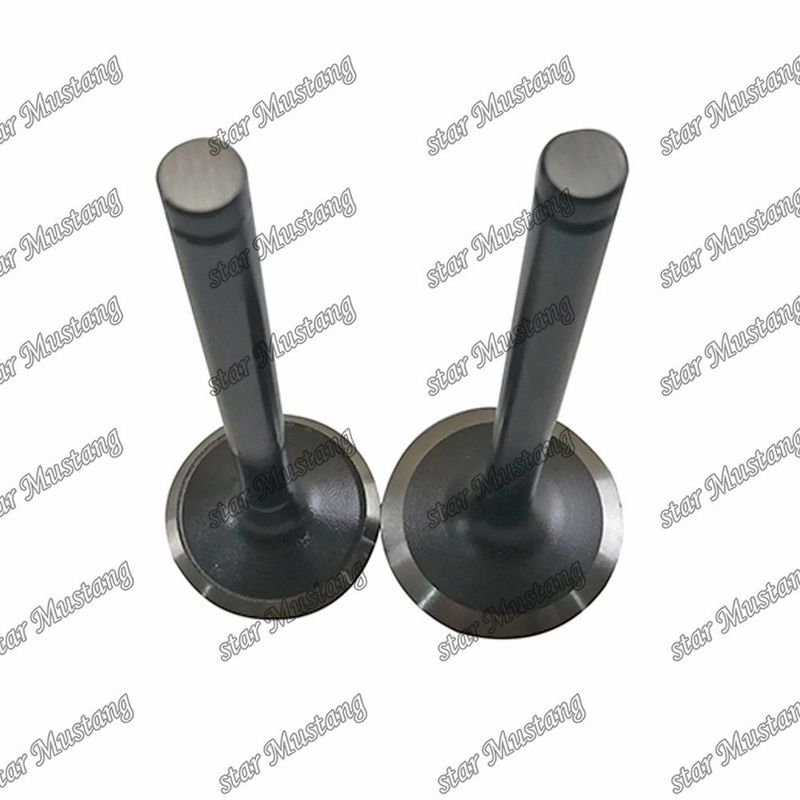دریچه W06D W06E 13711-1521 13715-1570 مناسب برای قطعات یدکی موتور های Hino