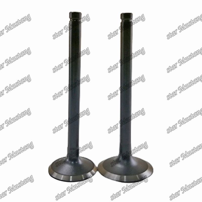 دریچه W06D W06E 13711-1521 13715-1570 مناسب برای قطعات یدکی موتور های Hino