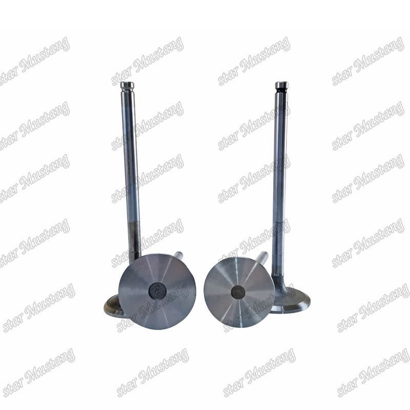 دریچه D1146 IN 65.01611-2031 EX 65.04101-0042 مناسب برای قطعات یدکی موتور دوسان