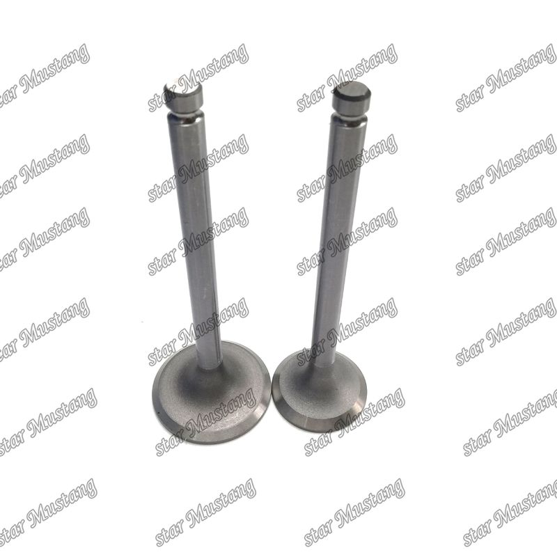 دریچه موتور DB33 65.02500-0001 65.02500-0002 مناسب برای قطعات معدنی موتور دوسان