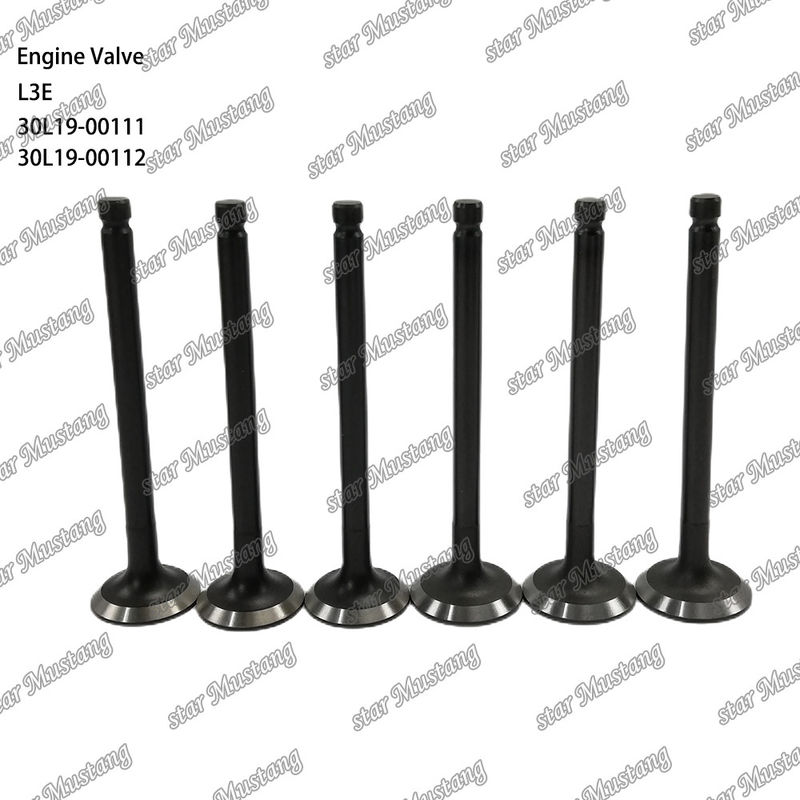 L3E 30L19-00111 30L19-00112 دریچه موتور دیزل مناسب برای قطعات یدکی میتسوبیشی