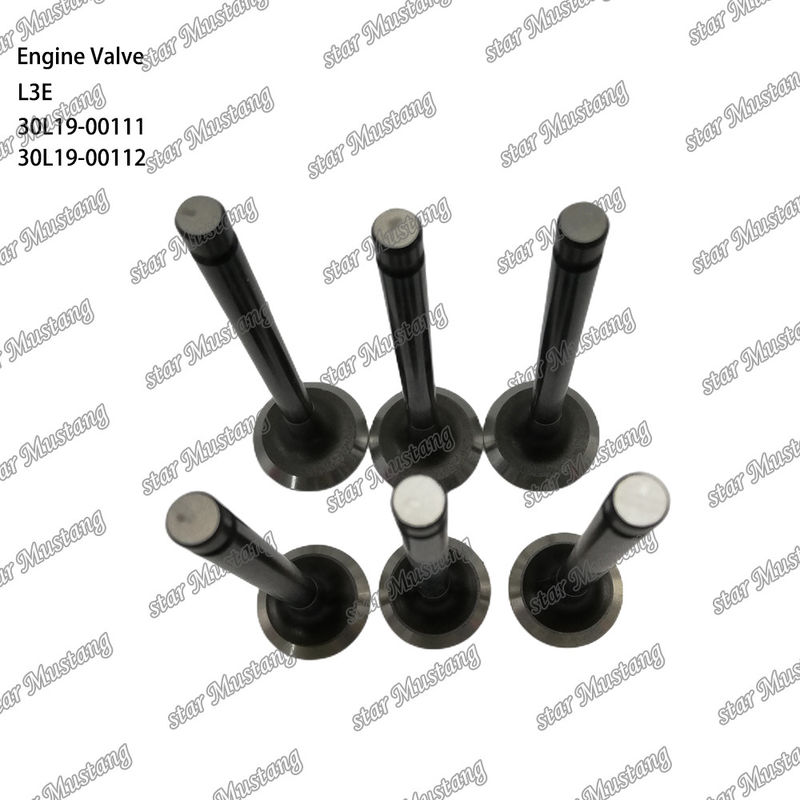 L3E 30L19-00111 30L19-00112 دریچه موتور دیزل مناسب برای قطعات یدکی میتسوبیشی