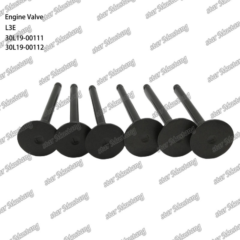 L3E 30L19-00111 30L19-00112 دریچه موتور دیزل مناسب برای قطعات یدکی میتسوبیشی