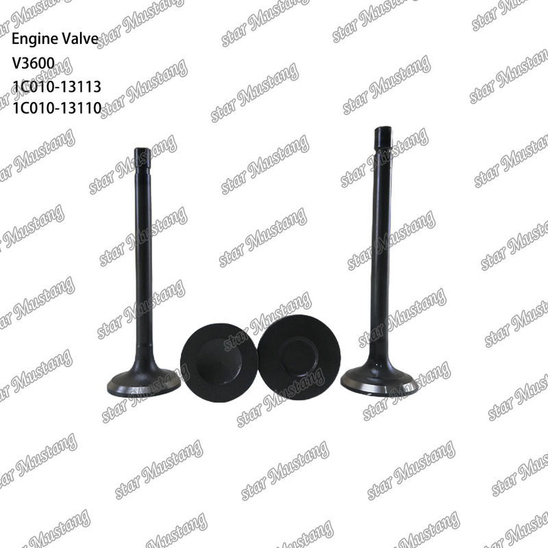 قطعات اصلی موتور دیزل V3600 1C010-13113