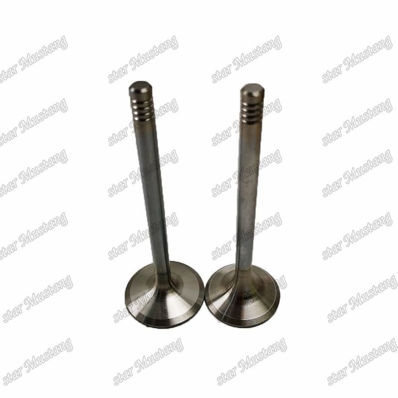 قطب ساختار یکپارچه D924 9279578 9279579 موتور دیزل قطعات اصلی موجود با پشتیبانی آنلاین پس از