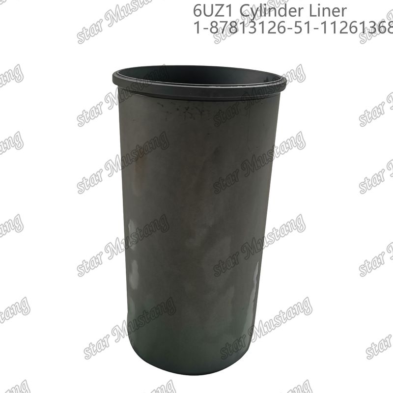 6UZ1 1-87813126-5 1-11261368-2 مناسب برای قطعات موتور ایزو