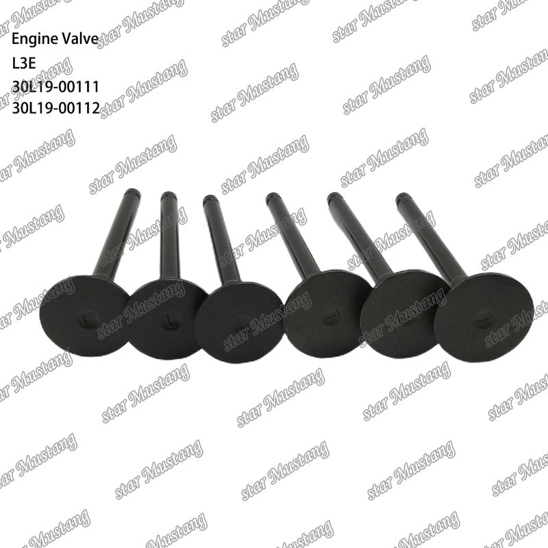 L3E 30L19-00111 30L19-00112 قطعه موتور دیزل سهام اصلی با پشتیبانی آنلاین پس از