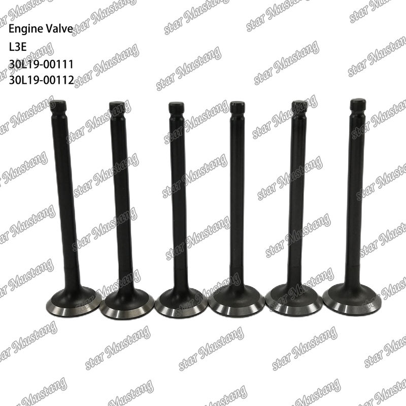 L3E 30L19-00111 30L19-00112 قطعه موتور دیزل سهام اصلی با پشتیبانی آنلاین پس از