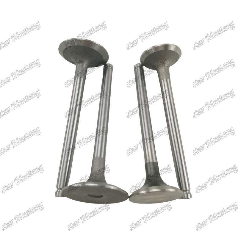 شیر ساختار یکپارچه 1004 3142L072 3142A051 قطعه موتور دیزل موجودی اصلی با پشتیبانی آنلاین پس از