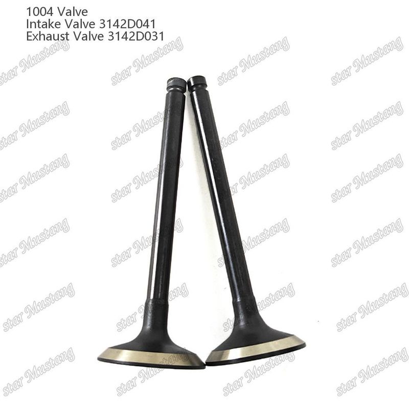 شیر ساختار یکپارچه 1004 3142D041 3142D031 قطعه موتور دیزل موجودی اصلی با پشتیبانی آنلاین پس از